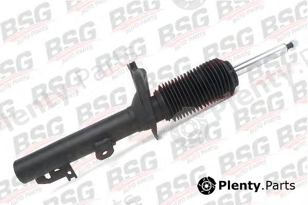  BSG part BSG30-300-011 (BSG30300011) Shock Absorber