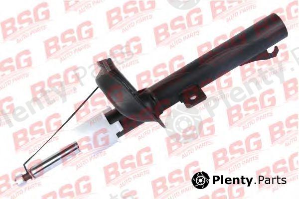  BSG part BSG30-300-020 (BSG30300020) Shock Absorber