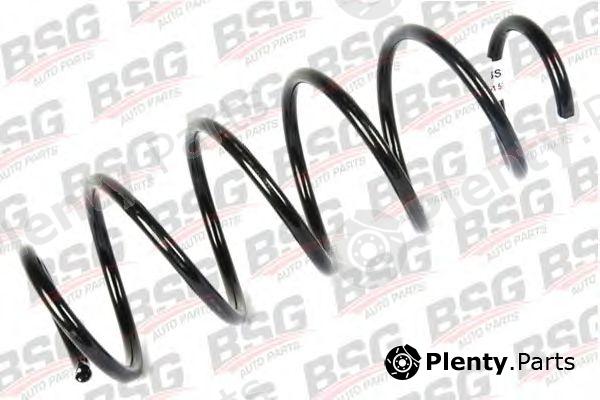  BSG part BSG30-305-021 (BSG30305021) Coil Spring