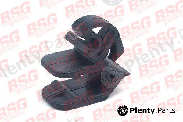  BSG part BSG30-995-005 (BSG30995005) Clip