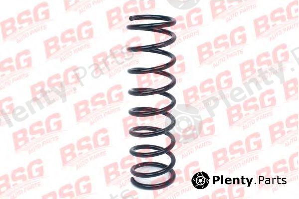  BSG part BSG30305020 Coil Spring