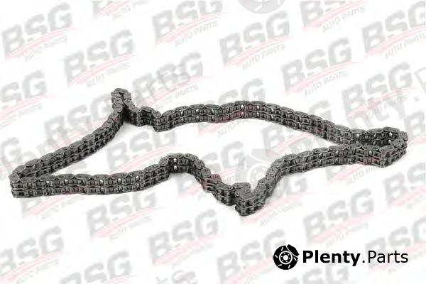  BSG part BSG30105002 Timing Chain