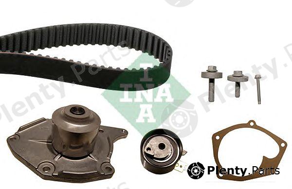  INA part 530019731 Water Pump & Timing Belt Kit