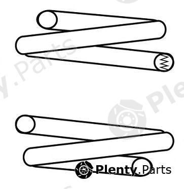  CS Germany part 14101242 Coil Spring