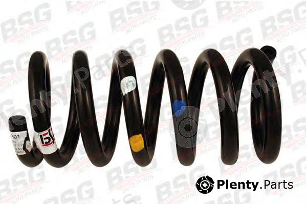  BSG part BSG30305001 Coil Spring