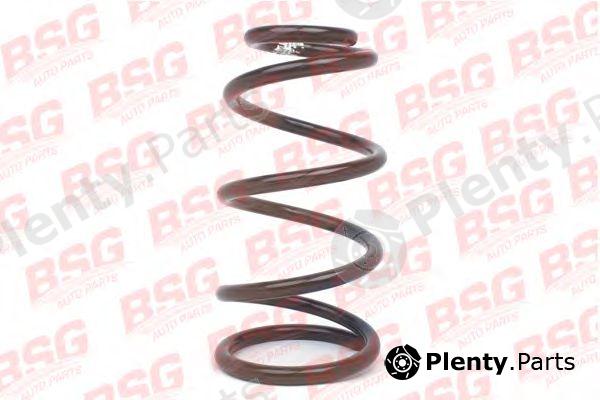  BSG part BSG30305005 Coil Spring