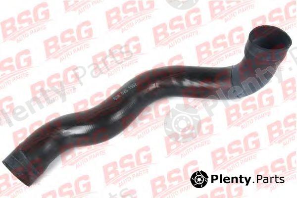  BSG part BSG60-720-011 (BSG60720011) Charger Intake Hose