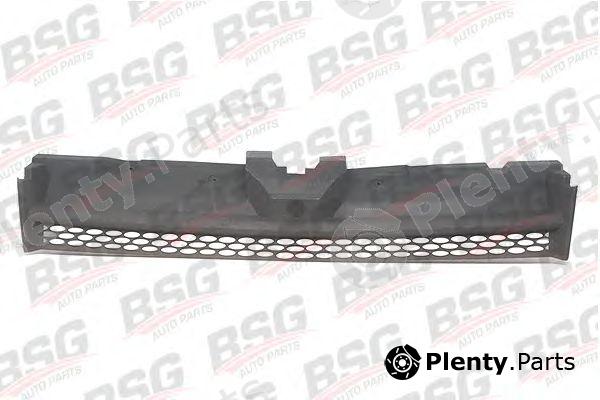  BSG part BSG30-922-001 (BSG30922001) Radiator Grille