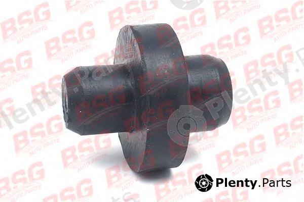  BSG part BSG30-700-027 (BSG30700027) Mounting, radiator