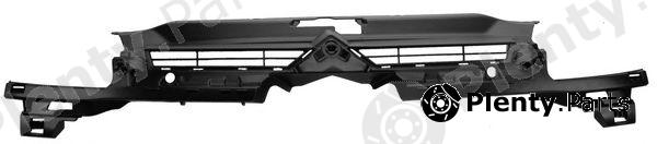  PHIRA part C401 Radiator Grille