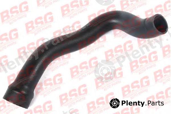  BSG part BSG60-720-007 (BSG60720007) Charger Intake Hose