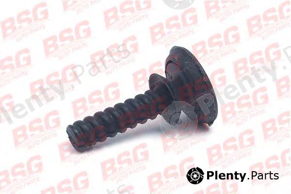  BSG part BSG30-991-002 (BSG30991002) Clip