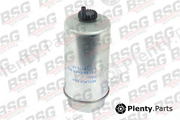  BSG part BSG30130003 Fuel filter