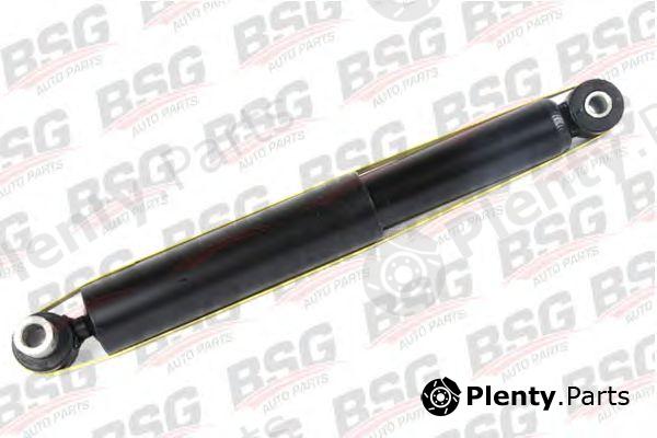  BSG part BSG30300010 Shock Absorber