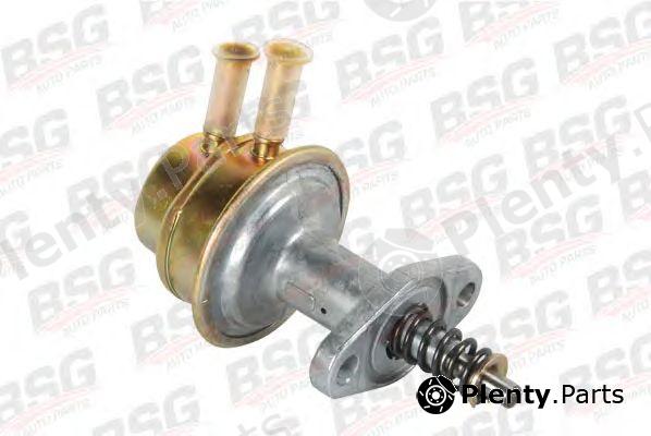  BSG part BSG30-150-001 (BSG30150001) Fuel Pump