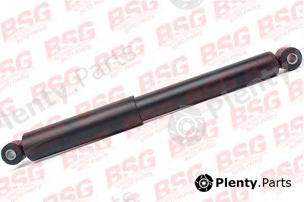  BSG part BSG60-300-018 (BSG60300018) Shock Absorber