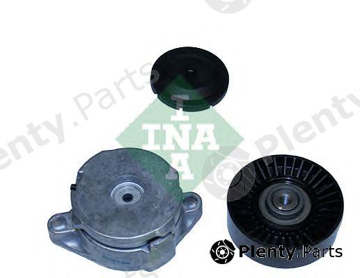  INA part 530039509 Pulley Kit, v-ribbed belt