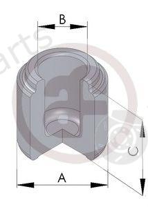  AUTOFREN SEINSA part D025118 Piston, brake caliper