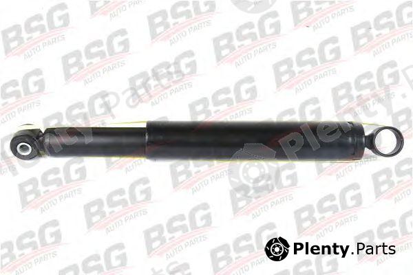  BSG part BSG30-300-009 (BSG30300009) Shock Absorber