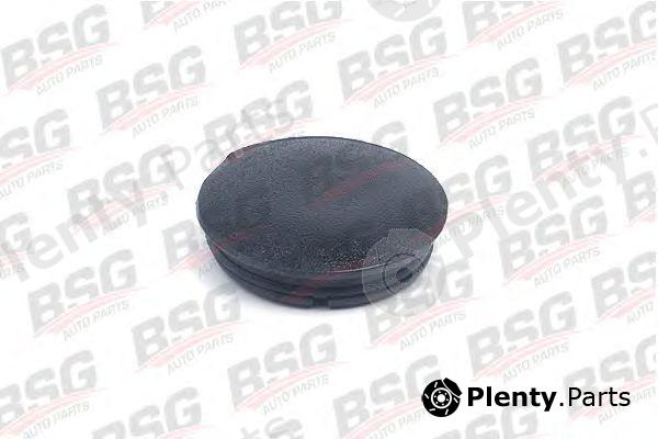  BSG part BSG30-916-003 (BSG30916003) Plug, outside mirror cover