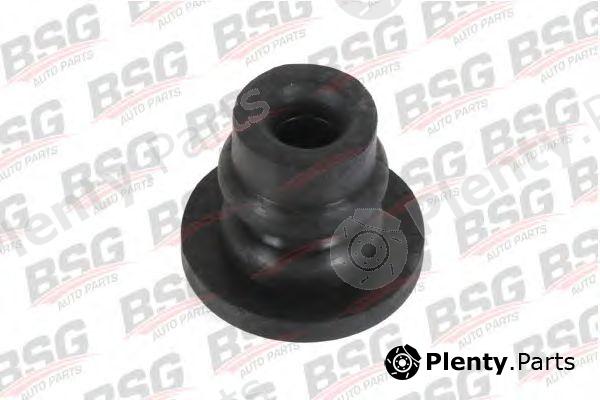 BSG part BSG30700273 Seal, radiator fan holder