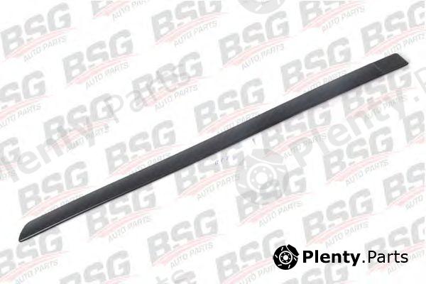  BSG part BSG30924009 Trim/Protective Strip, door