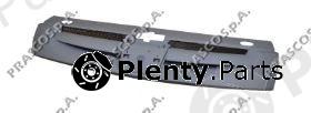  PRASCO part PG9062001 Radiator Grille
