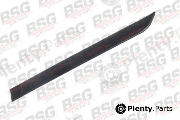  BSG part BSG30-924-005 (BSG30924005) Trim/Protective Strip, door