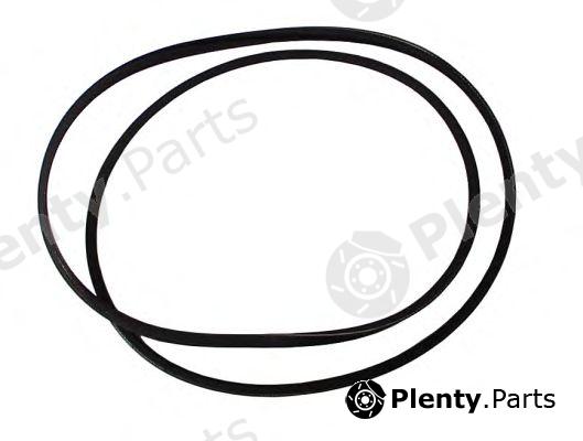 JP GROUP part 1118003700 V-Belt