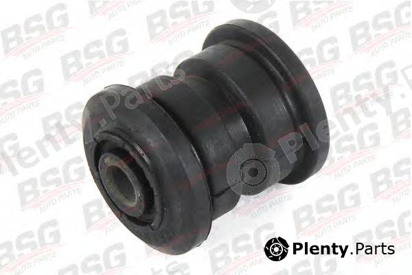  BSG part BSG30700104 Mounting, leaf spring