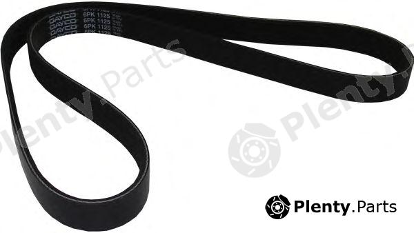  JP GROUP part 1118104600 V-Ribbed Belts