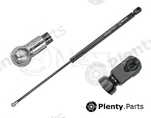  MEYLE part 7409100037 Gas Spring, boot-/cargo area