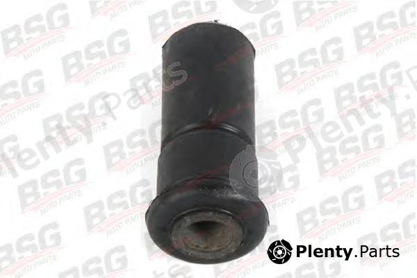  BSG part BSG30700105 Bush, spring shackle
