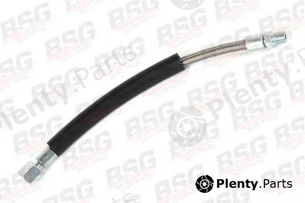  BSG part BSG30-725-002 (BSG30725002) Oil Hose