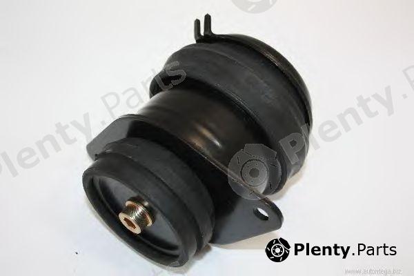  AUTOMEGA part 1019902621H0E Engine Mounting