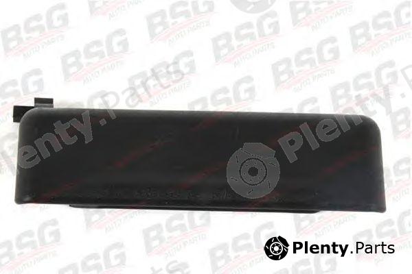  BSG part BSG30970007 Door Handle