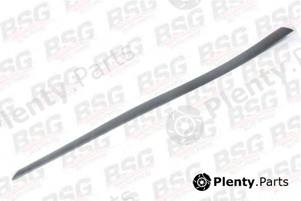  BSG part BSG30924028 Trim/Protective Strip, door
