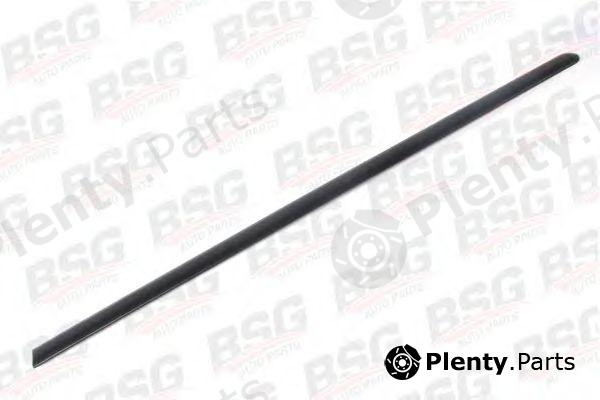  BSG part BSG30-924-031 (BSG30924031) Trim/Protective Strip, door