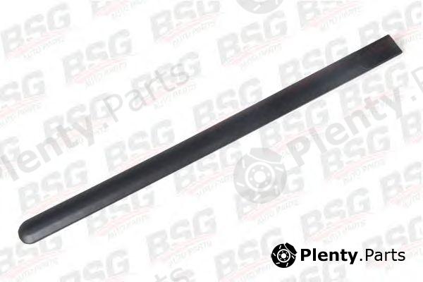  BSG part BSG30924033 Trim/Protective Strip, door