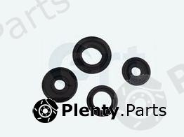  ERT part 200044 Repair Kit, brake master cylinder