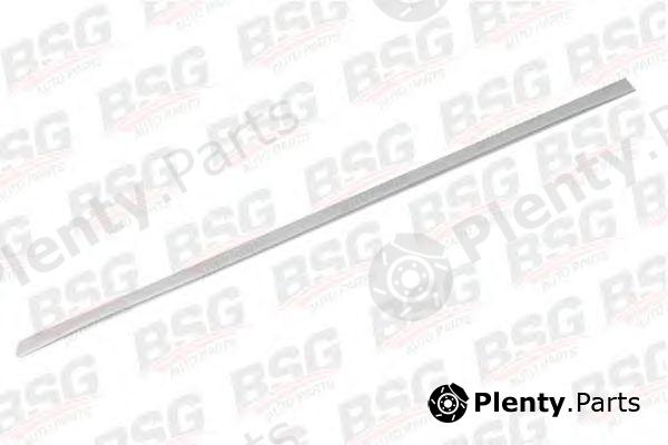  BSG part BSG30924011 Trim/Protective Strip, door