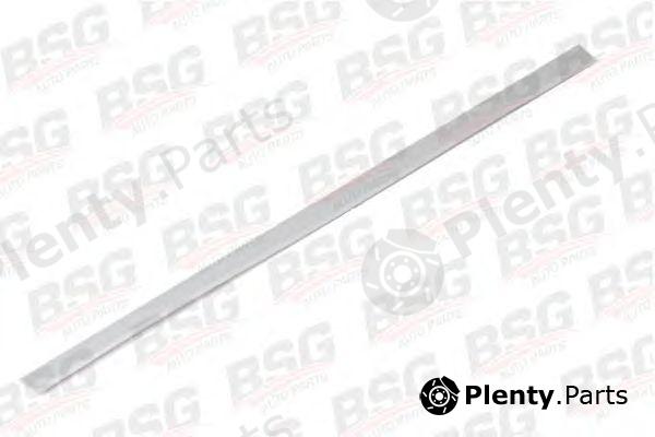  BSG part BSG30-924-012 (BSG30924012) Trim/Protective Strip, door