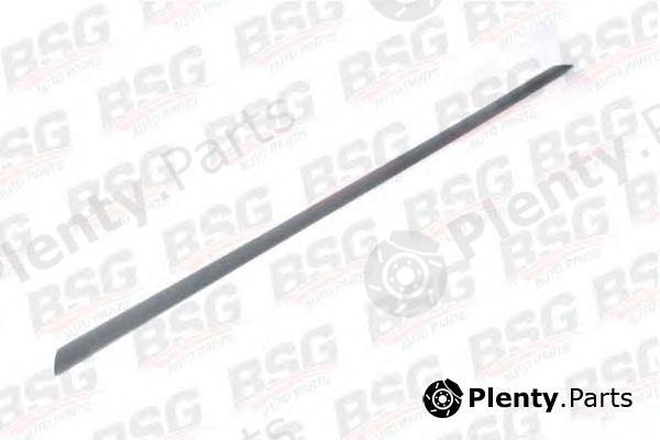  BSG part BSG30924029 Trim/Protective Strip, door