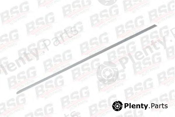  BSG part BSG30924046 Trim/Protective Strip, door