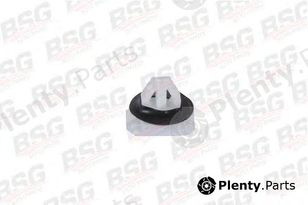  BSG part BSG30-995-001 (BSG30995001) Clip