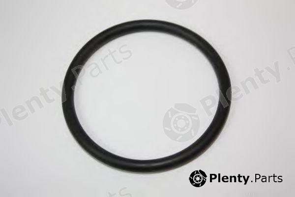  AUTOMEGA part 1013380216 Replacement part