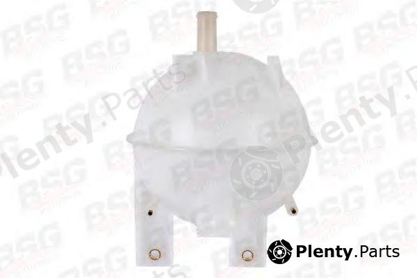 BSG part BSG30-550-001 (BSG30550001) Water Tank, radiator