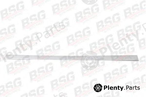  BSG part BSG30-924-013 (BSG30924013) Trim/Protective Strip, door