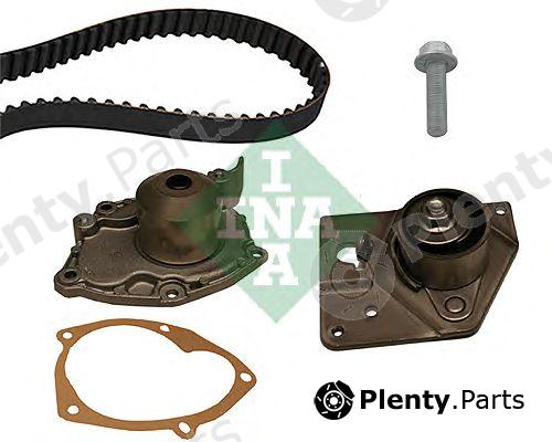  INA part 530019630 Water Pump & Timing Belt Kit