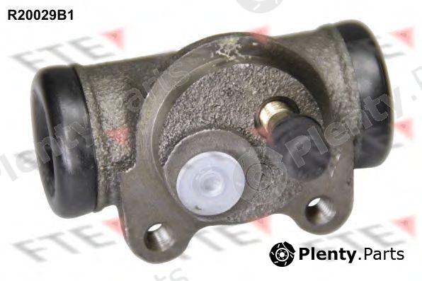  FTE part R20029B1 Wheel Brake Cylinder